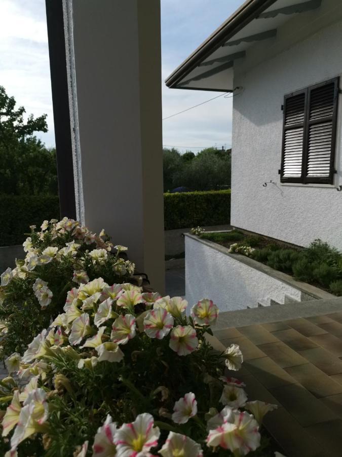 Villa Flora Affittacamere Luni Zewnętrze zdjęcie