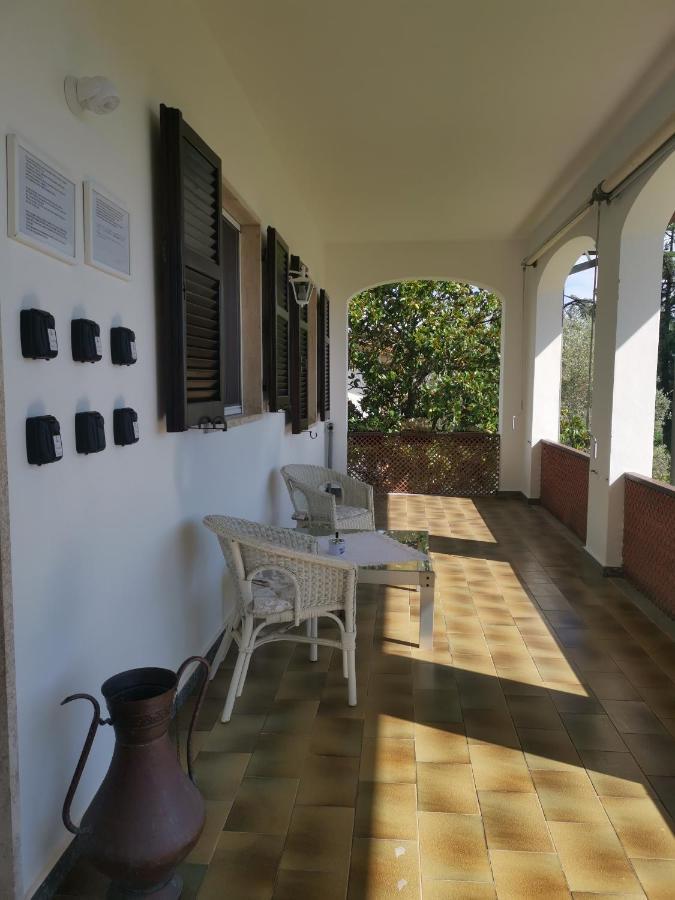 Villa Flora Affittacamere Luni Zewnętrze zdjęcie